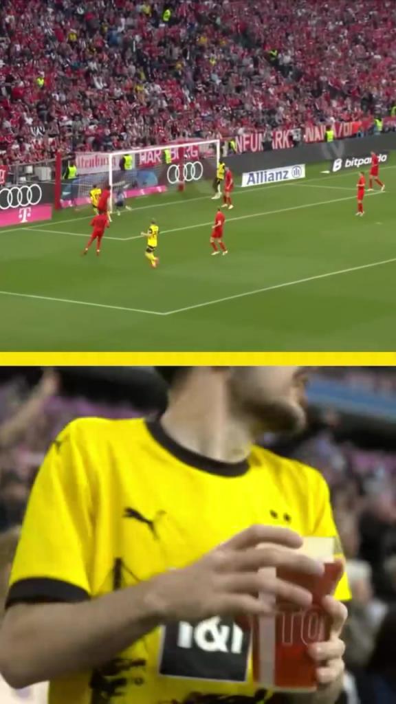 勇者無懼！這是真多特球迷！在拜仁球迷區(qū)一個(gè)人肆意慶祝！